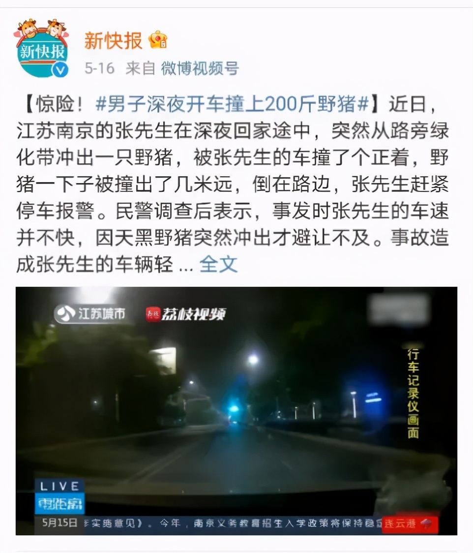 大象迁徙事件始末,大象迁徙为什么又回去了