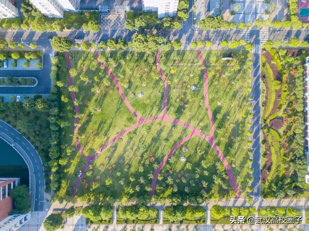武汉低调神秘的高校,武汉低调的大学