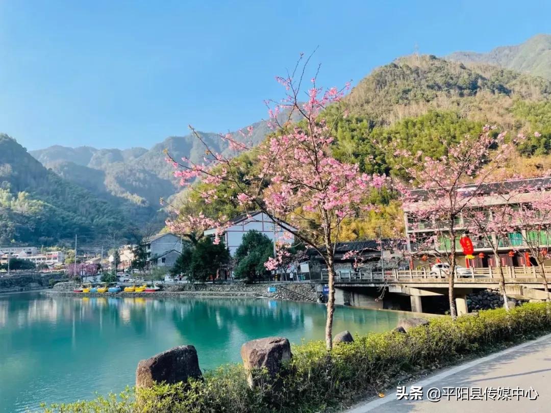 平阳水口村,平阳香格里拉