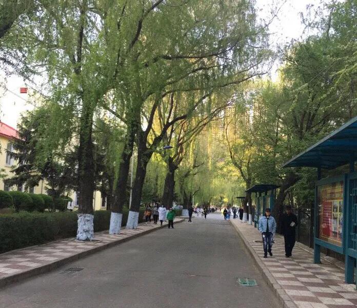 黑龙江中医药大学第二附属医院,黑龙江中医药大学研究生录取分数