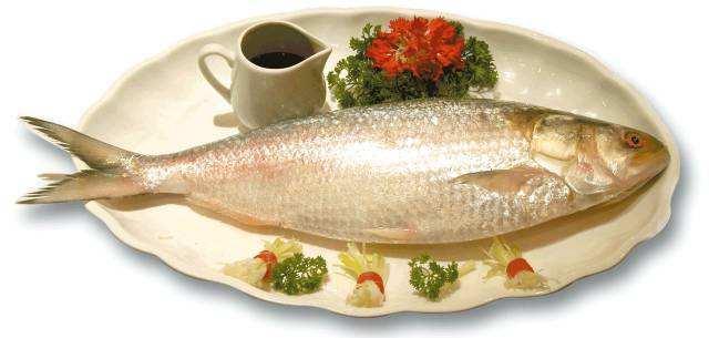 此味只应天上有，哪知全从长江来—长江三鲜