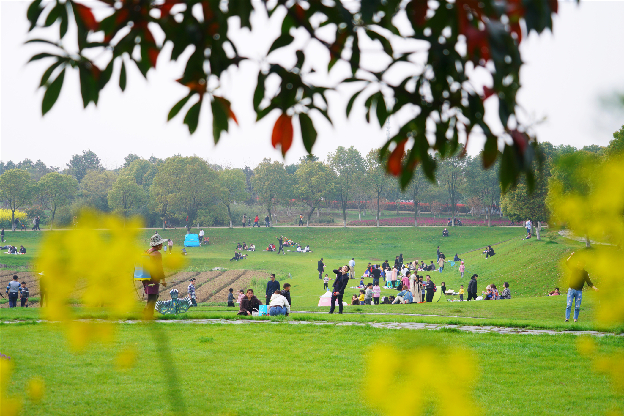 中国第一慢城高淳桠溪,南京高淳桠溪慢城