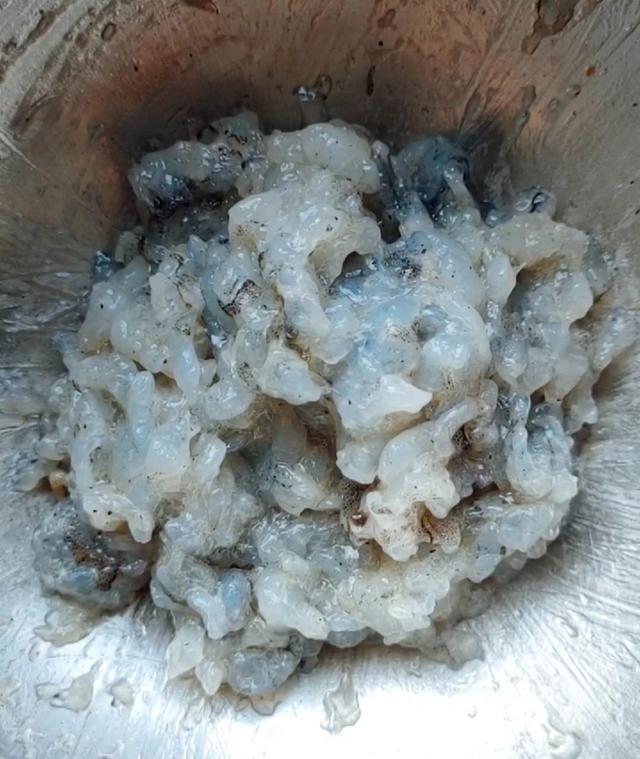 鲜虾如何速冻保存,鲜虾怎么保存24小时为最新鲜