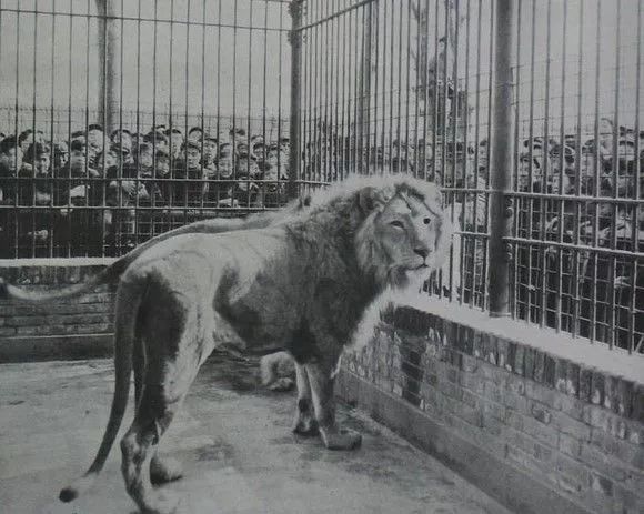 天津卫津路老照片,1998年天津卫津路街景