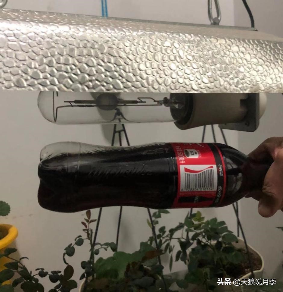 北阳台无直射光,北阳台直射光