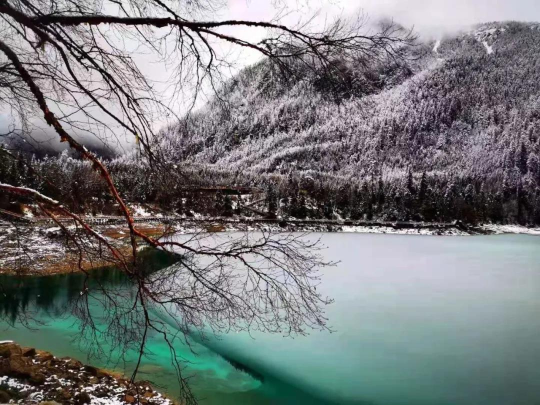 趁春意来赏油菜花海,趁春光去野游