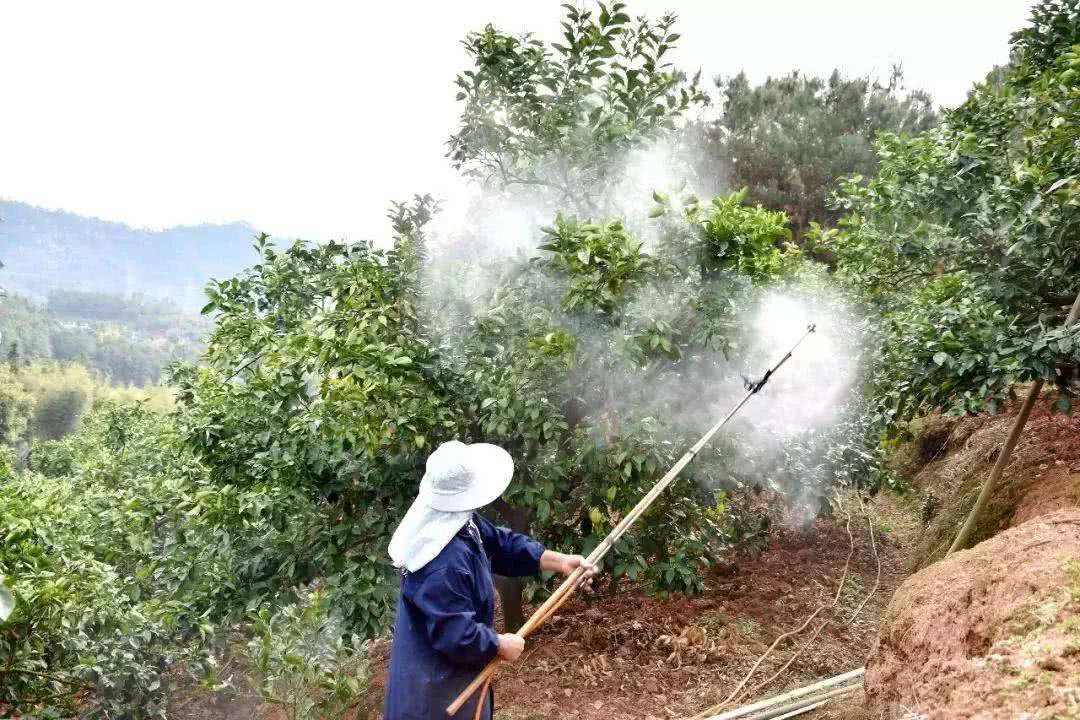 酷似酱油不是酱油,虽然古老但杀虫灭菌都不落后,替都替不了