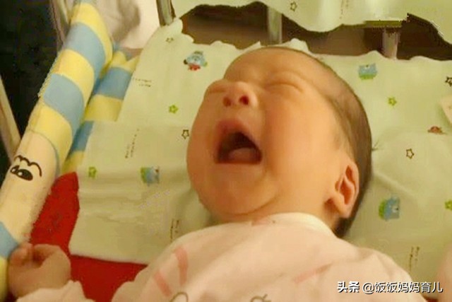 19年生的猪宝宝哪个月份最好,几月份出生的猪宝宝最有福气