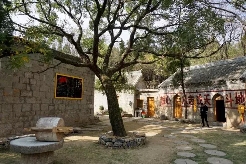 再次增值!洛阳旅游年票又增加一个新景区,看看是哪个?