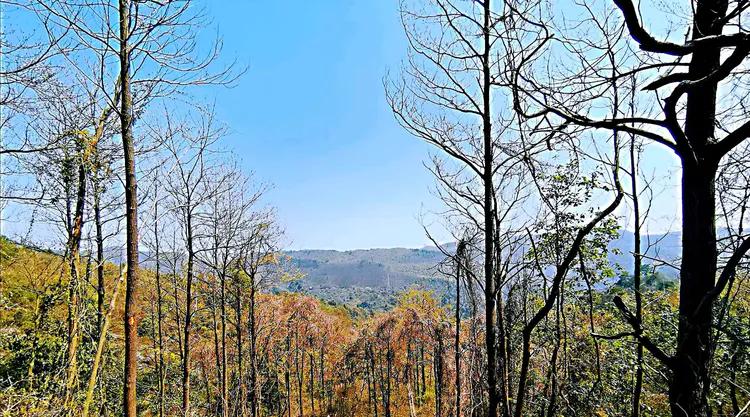华容山水苑别墅100万,华容秀丽山水风景区