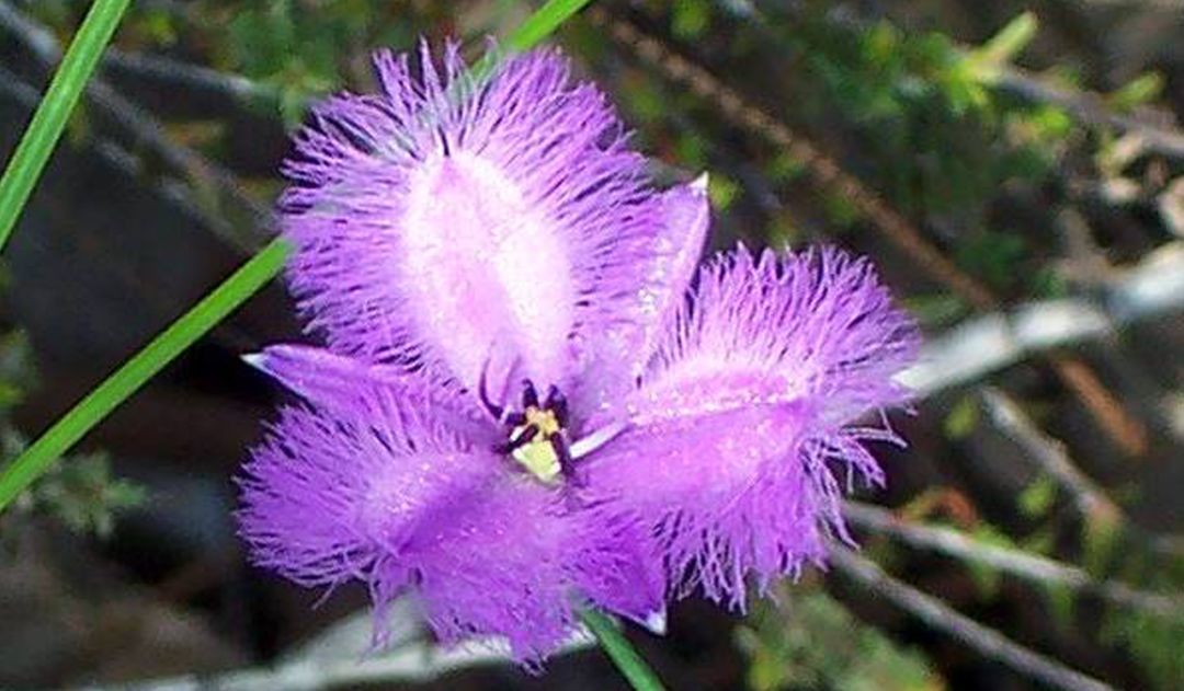 鏈堜寒鏄熷骇鎬庢牱搴斿璐熼潰鎯呯华,鏈堜寒鏄熷骇鎯呯华鐤楁剤