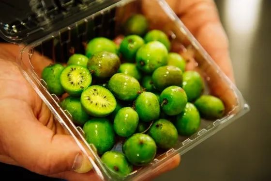 澳洲水果的营养价值,澳洲必吃的10种水果