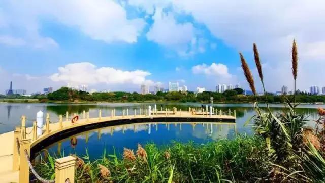 深圳市十大免费公园,深圳十大湖泊