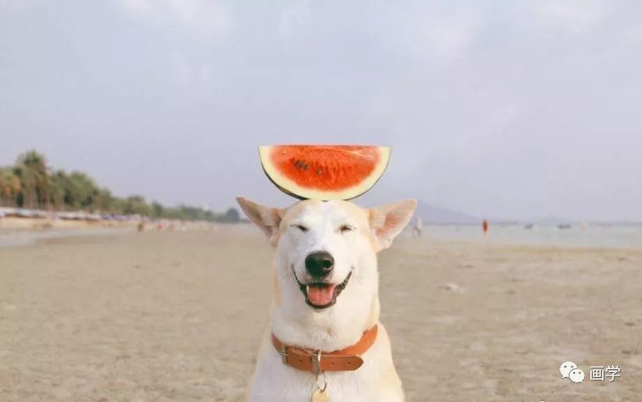 学会画画就要会正确的观察方法，让你事半功倍！