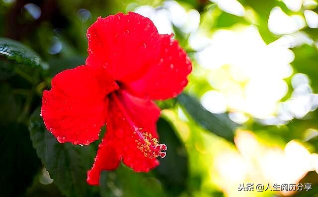 人生格言经典短句励志正能量,正能量人生格言励志短句大全