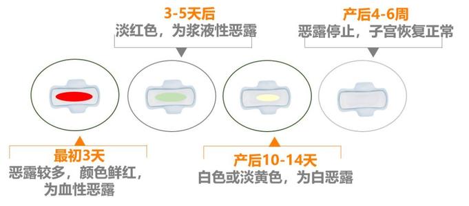 新手妈妈必备的护理知识,母狗产后护理三大禁忌