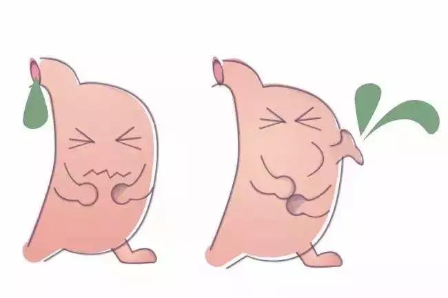 带脉是人体的长寿腰带,多功能经络健康腰带