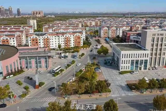 自从搬到天津「静海」，我灵魂得到了洗涤……