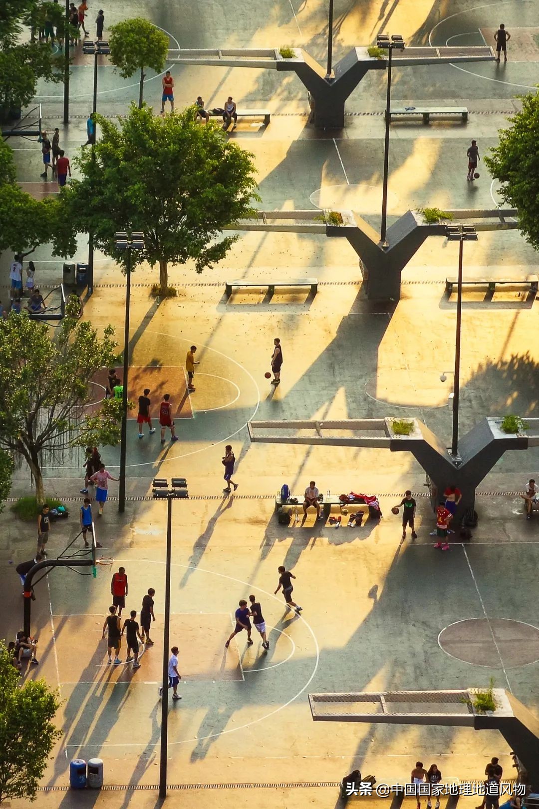 中国奥运冠军最多的是哪个城市,盛产奥运冠军的浙体院