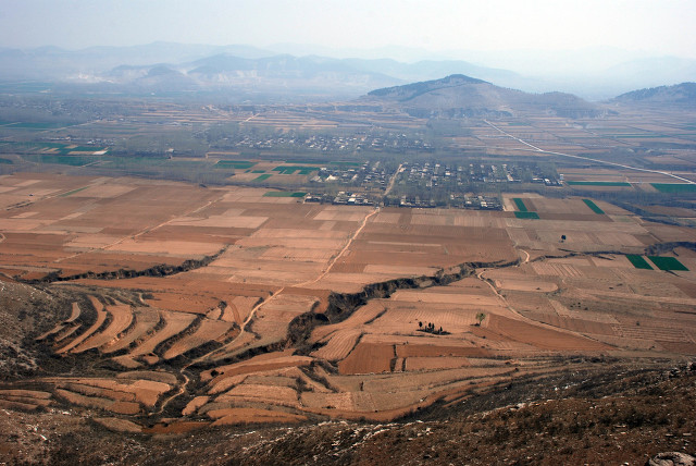 阿胶知识视频,阿胶的知识