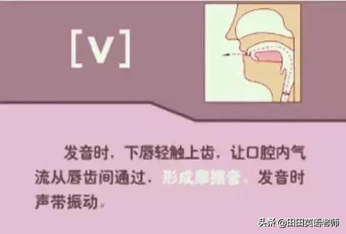 48个英语国际音标发音表图片,英语48个音标发音附详细图解视频