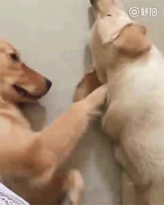 特别搞笑的收藏照片,值得收藏的gif动图