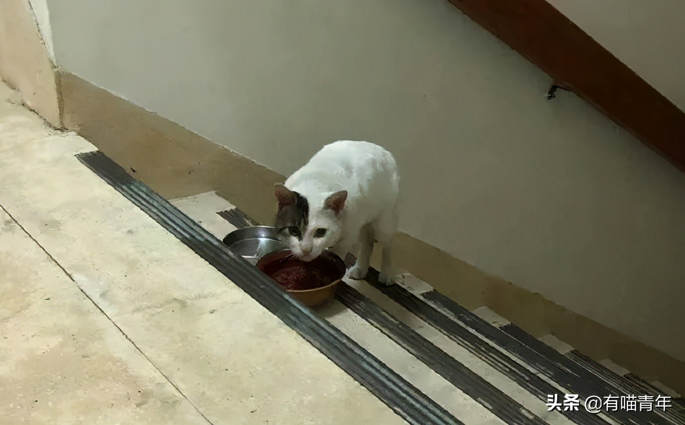 男子报警21岁喜当爹,男子喜当爹做了一件荒唐事