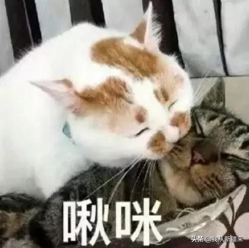 独家*疆新**真题，能拿满分算你劳道