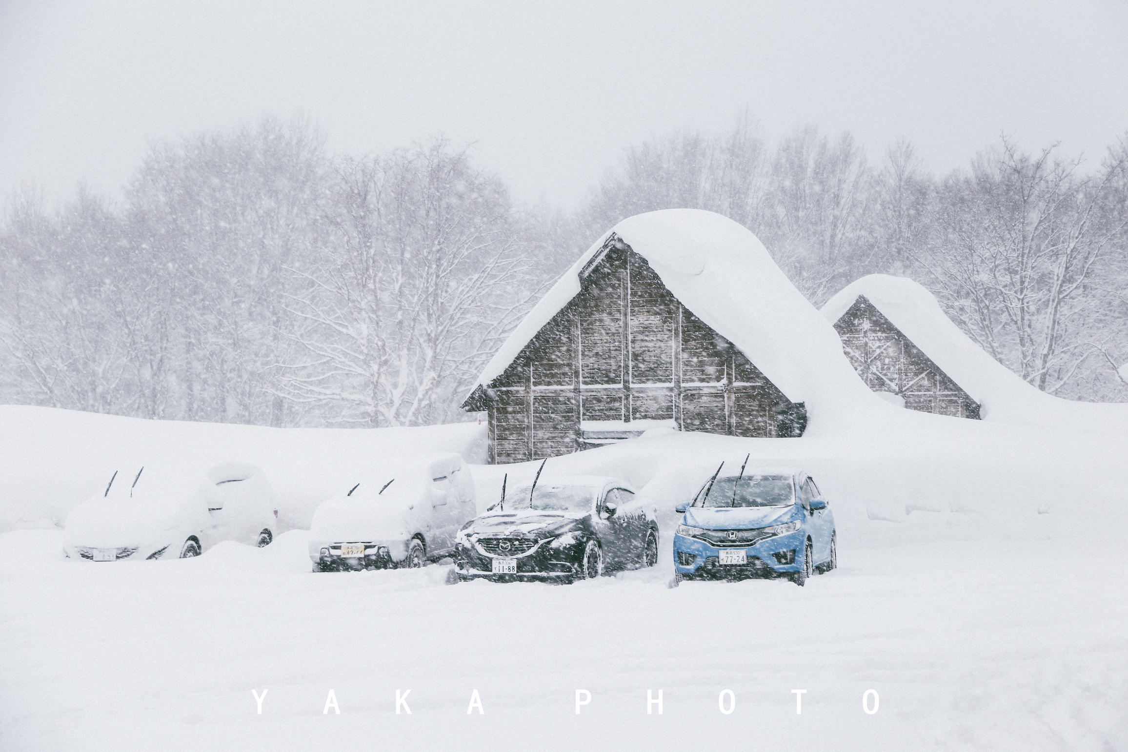 日本青森睡魔祭的寓意,青森星野度假村睡魔祭