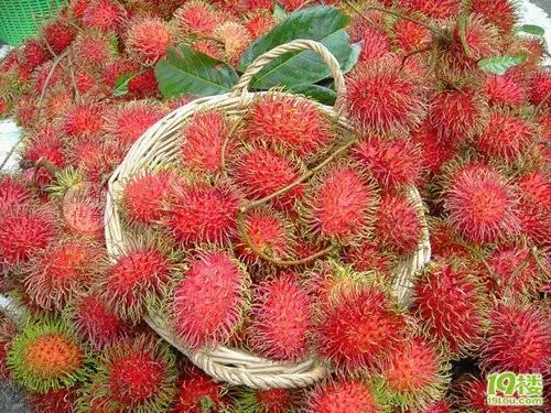 海南必吃十种水果图片名称,海南水果品种大全排名