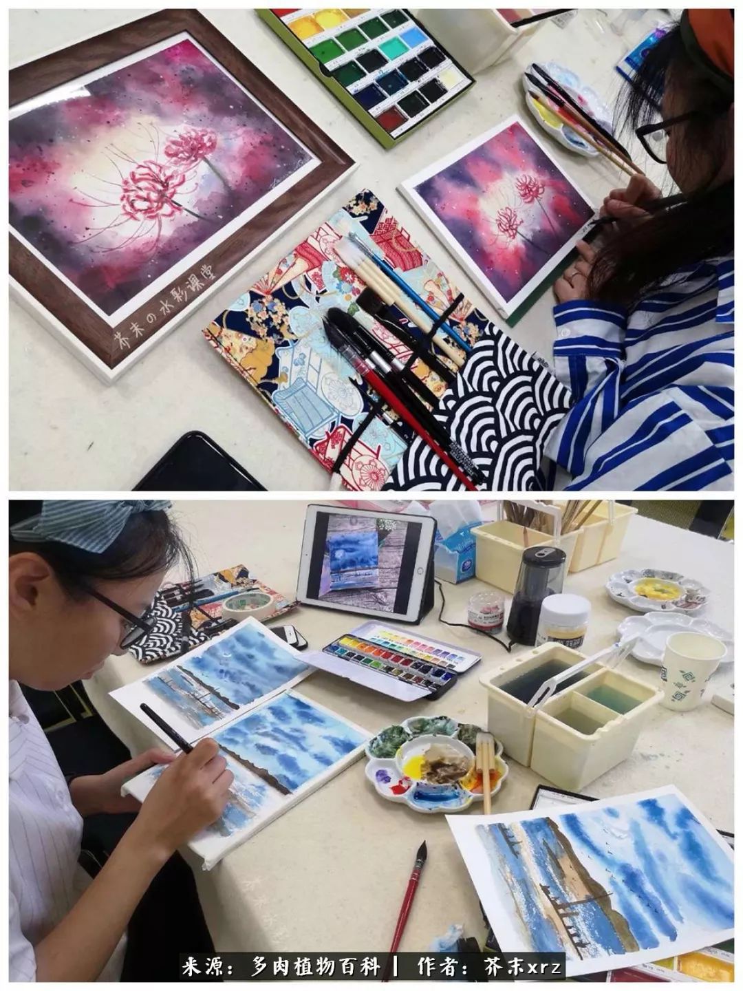 那个爱画多肉的小姑娘带着她的心头肉又来啦!