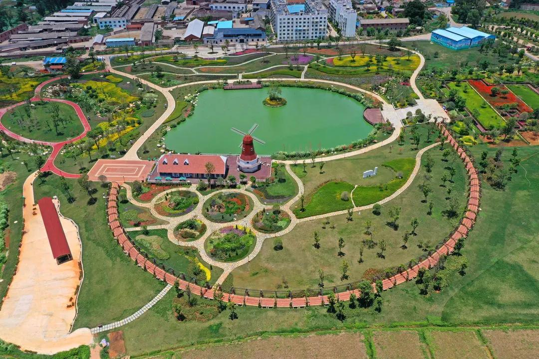 @个旧人，动起来！15分钟健身圈你打卡了吗？