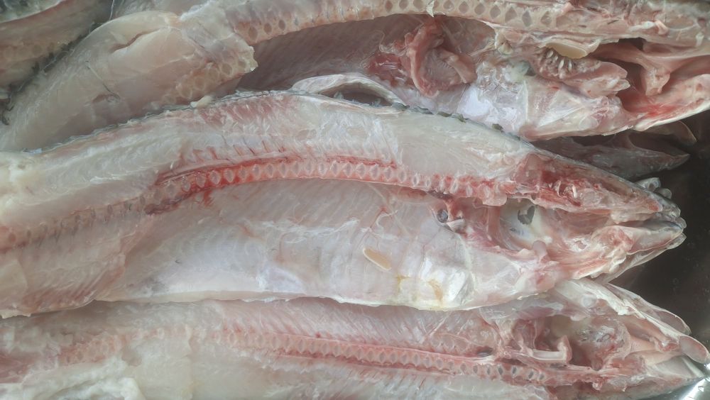 用盐花椒腌的鱼怎么做好吃,教你制作花椒鱼