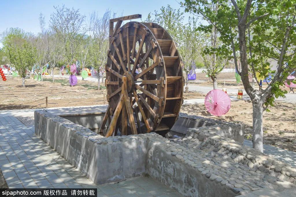 薰衣草花海真是太美了,北京薰衣草花海打卡网红地