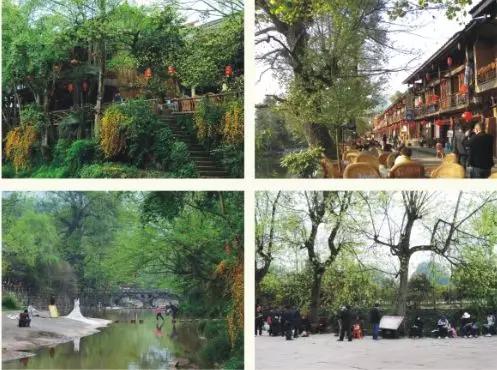 雨城区上里古镇,雅安上里镇历史