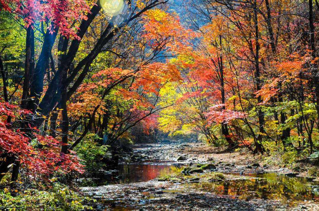 爱上大连的N个理由,爱上内蒙古的n个理由