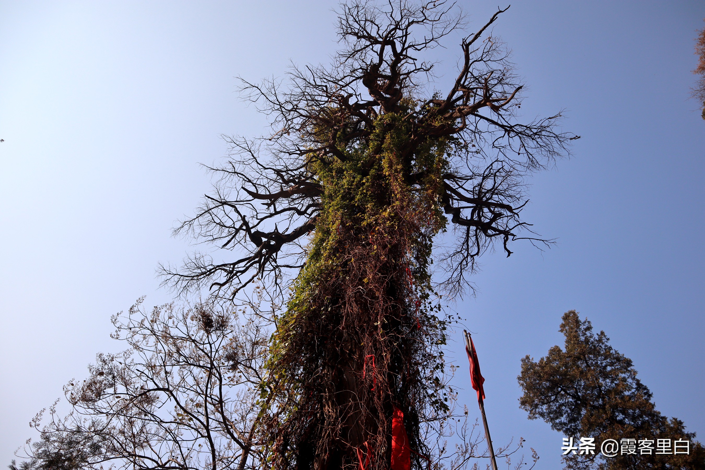 汝州紫云山观音庙,河南汝州紫云山观音堂