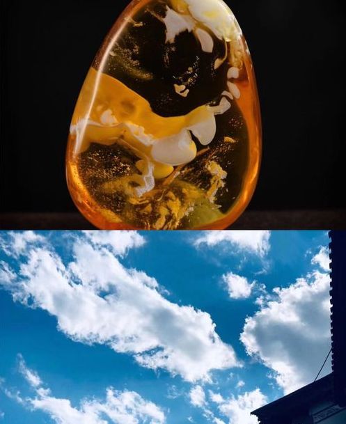 琥珀蜜蜡收藏价值如何,琥珀蜜蜡的种类和档次