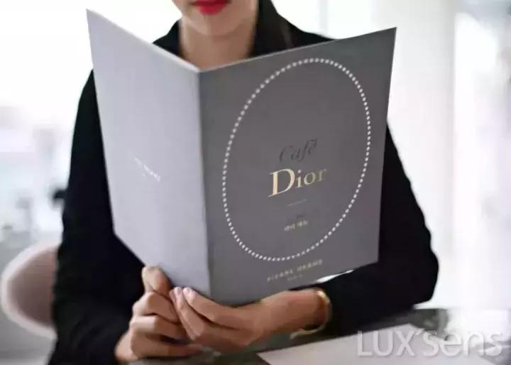 chanel新品饺子包,chanel推荐大包