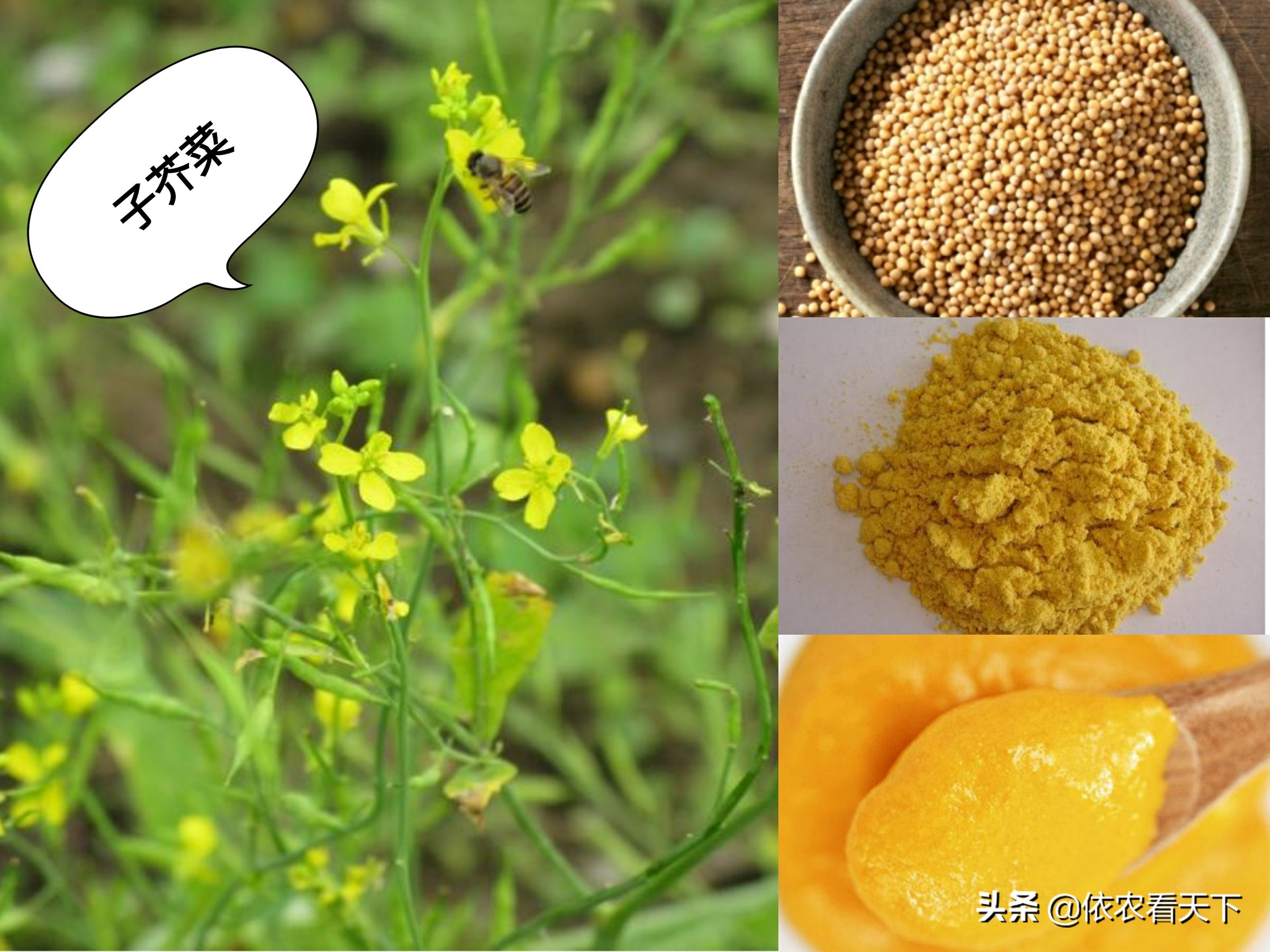 播放30秒带你了解奥特三兄弟,5分钟带你了解魔都三兄弟