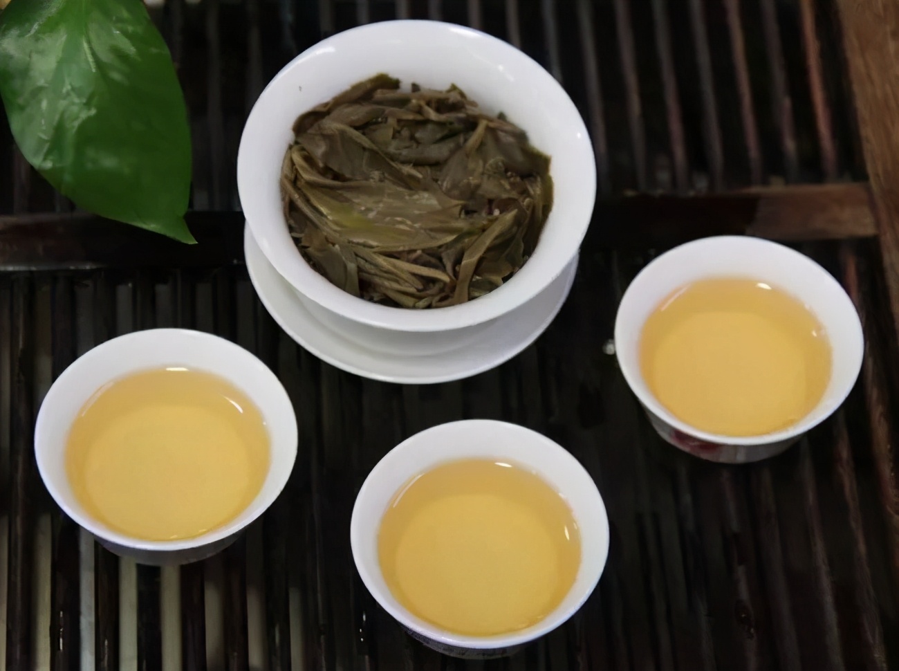 古树普洱茶茶树如何分类,普洱茶古树和单株的区别是什么