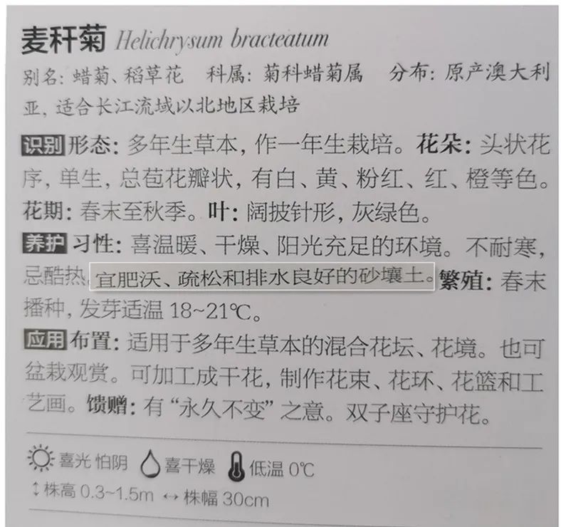 十二星座双子座的守护花,双子座守护花是什么星座