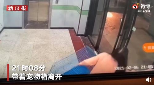 货拉拉女孩跳车窗身亡事件原因,货拉拉跳车身亡女孩事件直播