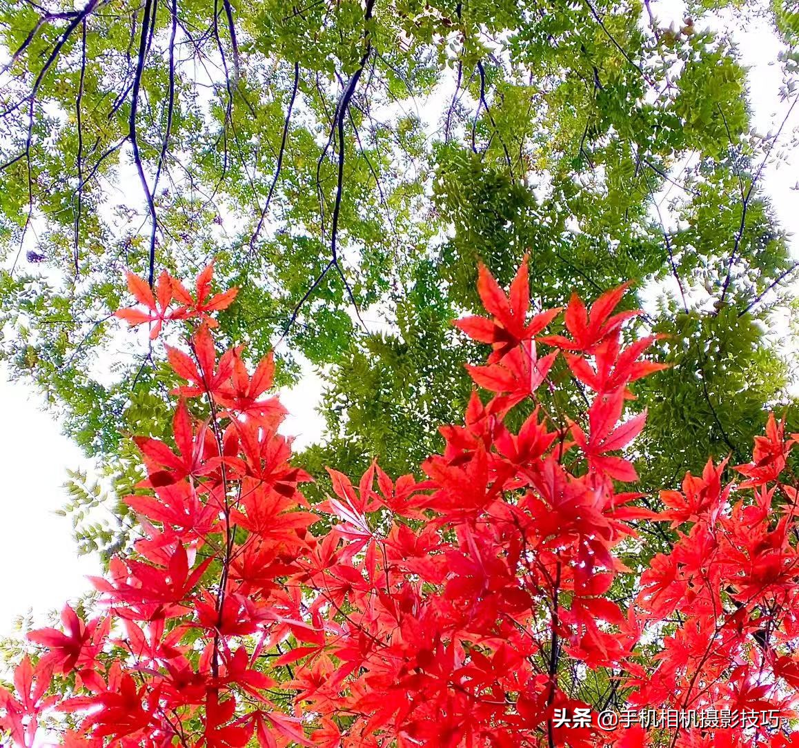 手机变焦和放大的区别,手机变焦有什么用