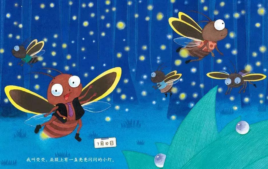 你原来是这样的萤火虫，估计老师们也很少知道！