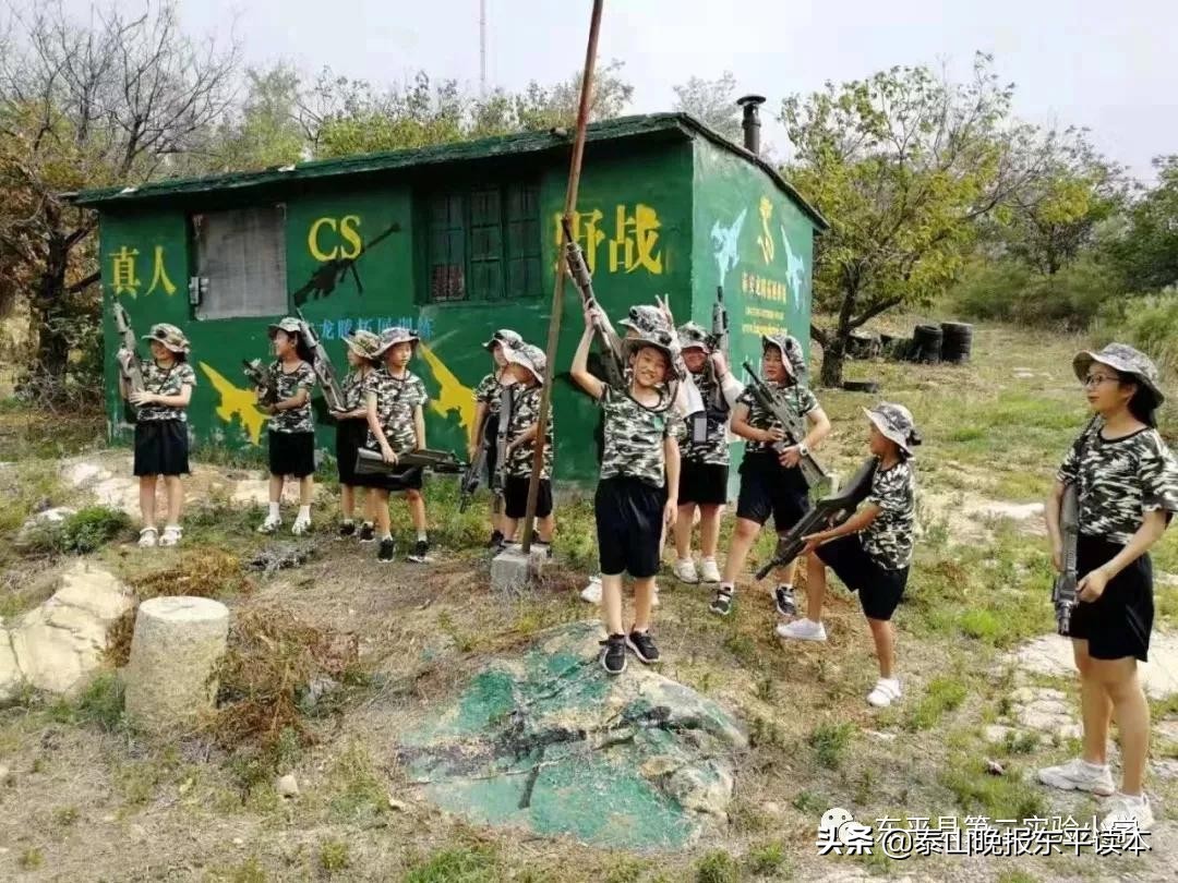 二年级小记者活动,小记者实践活动收获