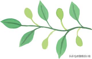 塞舌尔海滩风景视频,塞舌尔海岛完整版