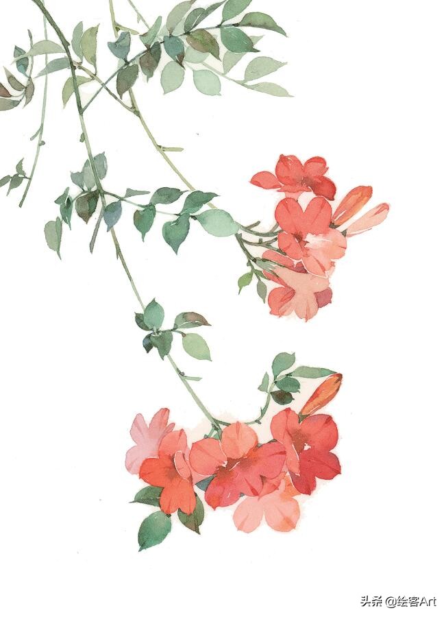 写意国画怎样配色,最好的小写意国画