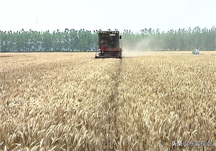 秸秆还田讲解,秸秆还田最新情况