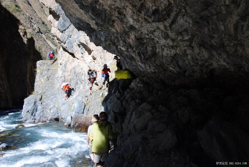 狼c调简谱教唱,狼c